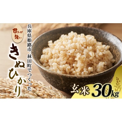 [令和7年産新米]<10月初旬以降発送予定>きぬひかり玄米30キロ[53650730]