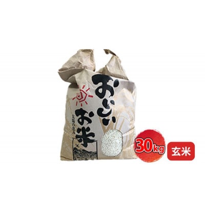 [令和7年産新米]<10月初旬以降発送予定>きぬひかり玄米30キロ[53650730]