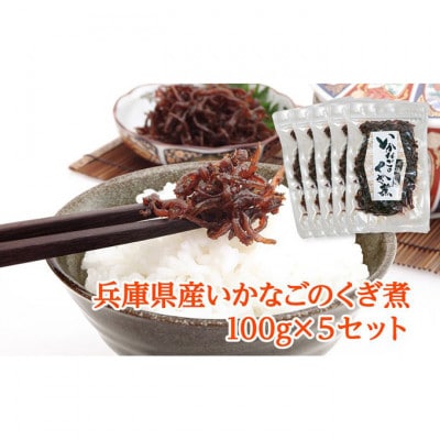 兵庫県産 いかなごのくぎ煮 100g×5セット[53651003]