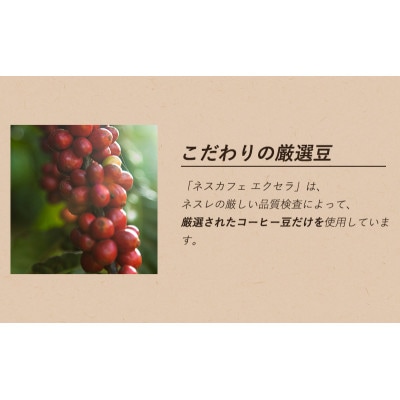 ネスレ日本 ネスカフェ プレジデント エコ&システムパック 60g×12個入[53651370]