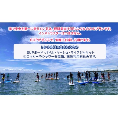 サップボードレンタル1日(施設利用料込み)マリンスポーツ SUP体験[53651828]