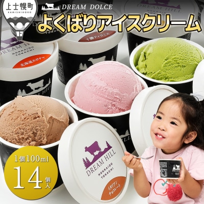 ドリームドルチェ よくばりアイスクリームセット 100ml×14個(14種) 北海道 スイーツ