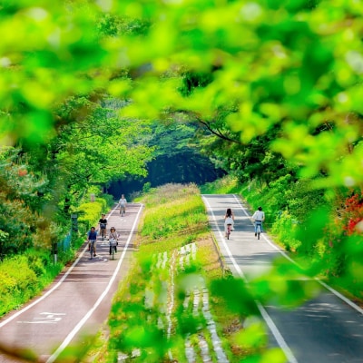 国営武蔵丘陵森林公園 入園引換券2名様分+施設利用券2,000円分|19_msk-022001