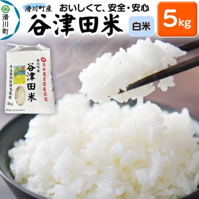 【白米】埼玉県滑川産のお米「谷津田米」5kg|19_nym-010501h