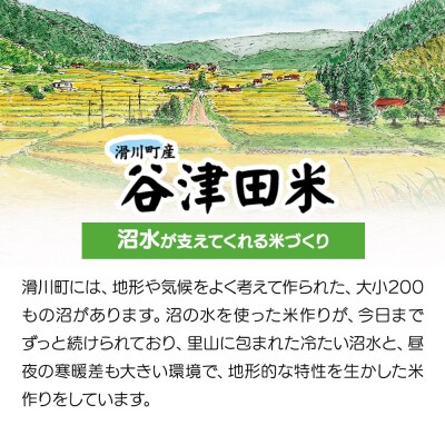 【白米】埼玉県滑川産のお米「谷津田米」5kg|19_nym-010501h