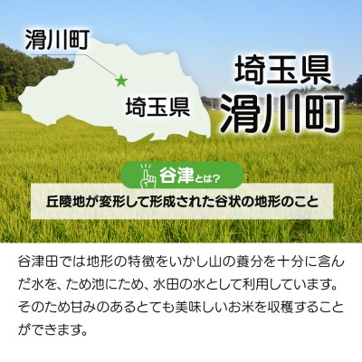 【白米】埼玉県滑川産のお米「谷津田米」5kg|19_nym-010501h