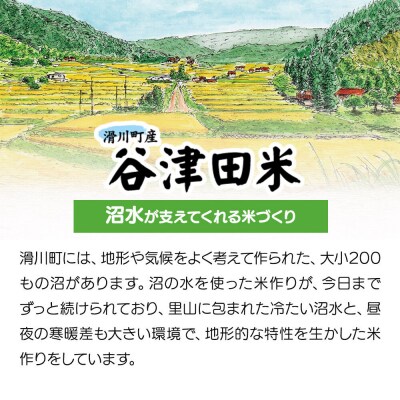 白米 埼玉県滑川産のお米 谷津田米 10kg 令和7年産|19_nym-011001h