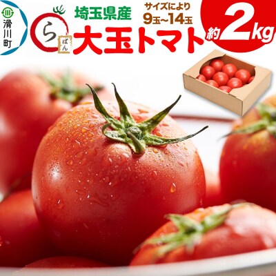 大玉トマト 約2kg(サイズにより9玉～14玉)埼玉県産 トマト|19_gfl-020201