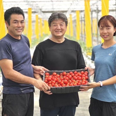 中玉トマト(フルティカ)3kg 埼玉県産 トマト|19_gfl-030301
