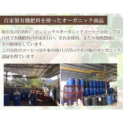 【ミニギフト】ホンジュラスコーヒー ドリップパック 8個セット|19_pun-080801