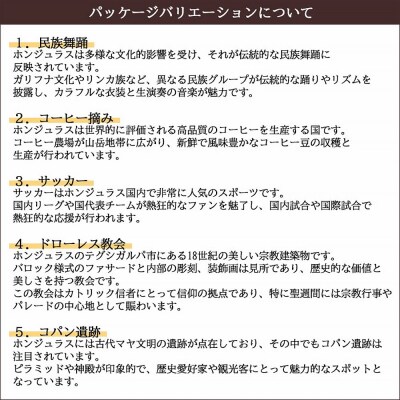 ギフト コーヒー アーティスト・エディション ドリップパック 15個|19_pun-111501