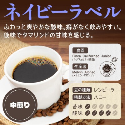 ホンジュラスコーヒー 焙煎豆 200g 細挽き【ネイビー】|19_pun-010101ae