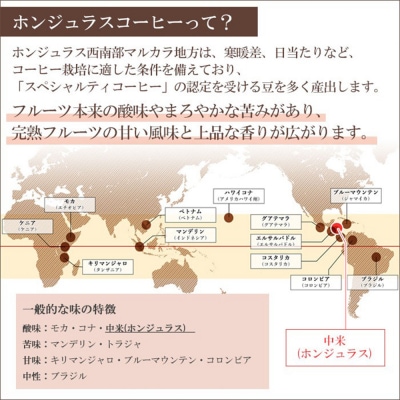 ホンジュラスコーヒー 焙煎豆 200g 粗挽き【グリーン】|19_pun-010101cb