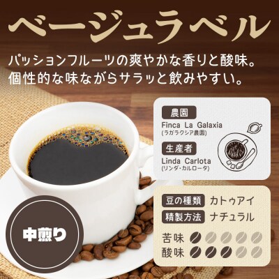 《定期便6ヶ月》コーヒー 焙煎豆 200g×1 中挽き ベージュ|19_pun-010106bd