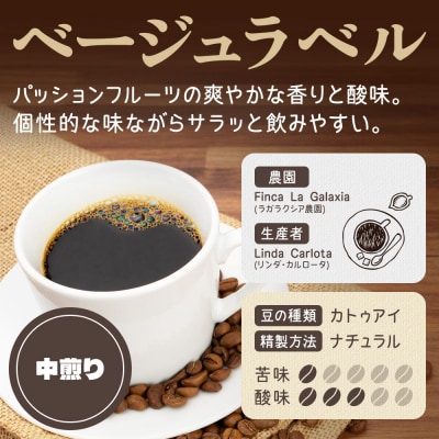 《定期便7ヶ月》コーヒー 焙煎豆 200g×1 中挽き ベージュ|19_pun-010107bd
