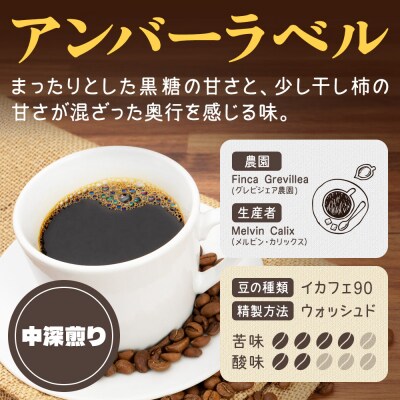 《定期便10ヶ月》コーヒー 焙煎豆 200g×1 細挽き アンバー|19_pun-010110aa
