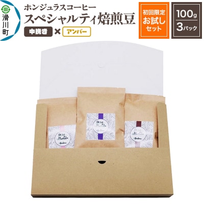 ホンジュラスコーヒー【初回限定お試しセット】焙煎豆 中挽き アンバー|19_pun-030301ba