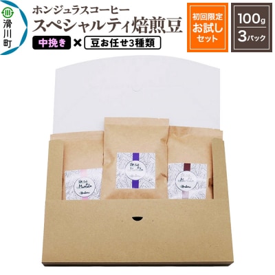 ホンジュラスコーヒー【初回限定お試しセット】焙煎豆 中挽き|19_pun-030301b