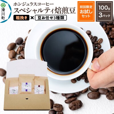 ホンジュラスコーヒー【初回限定お試しセット】焙煎豆 粗挽き|19_pun-030301c