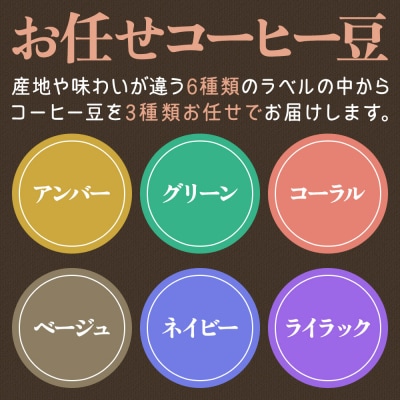 ホンジュラスコーヒー【初回限定お試しセット】焙煎豆 豆のまま|19_pun-030301d