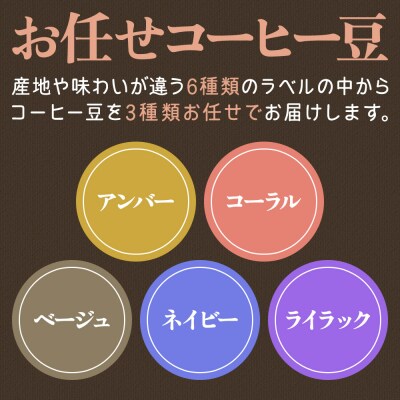 ホンジュラスコーヒー【初回限定お試しセット】焙煎豆 豆のまま|19_pun-030301d