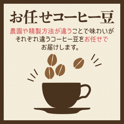 ホンジュラスコーヒー ギフト【グランデ】豆のまま 豆種類お任せ|19_pun-060601dg