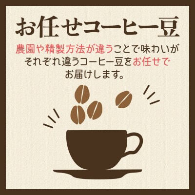 ホンジュラスコーヒー ギフト【グランデ】中挽き 豆種類お任せ|19_pun-060601bg
