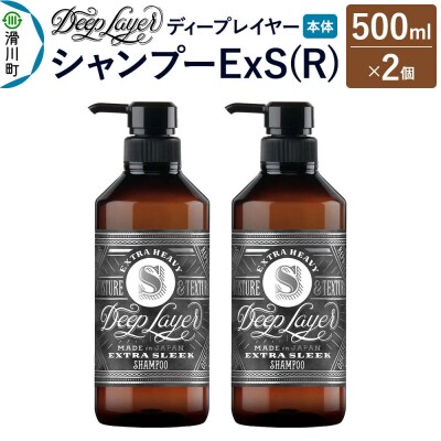 ディープレイヤー シャンプー ExS 500mL×2個|19_sss-250201