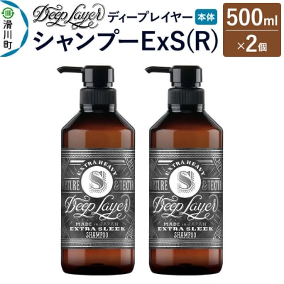 ディープレイヤー シャンプー ExS 500mL×2個|19_sss-250201