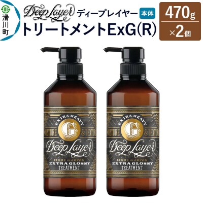 ディープレイヤー トリートメント ExG 470g×2個|19_sss-280201