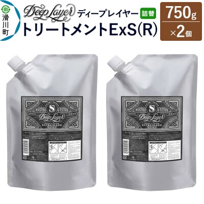 ディープレイヤー トリートメント ExS 詰替 750g×2個|19_sss-320201