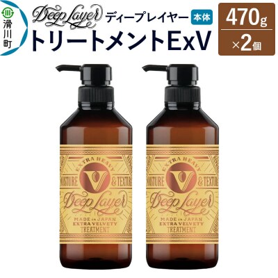 ディープレイヤー トリートメント ExV 470g×2個|19_sss-370201