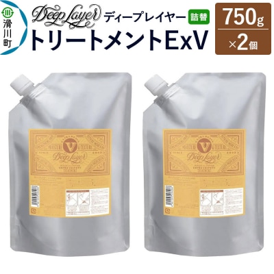 ディープレイヤー トリートメント ExV 詰替 750g×2個|19_sss-380201