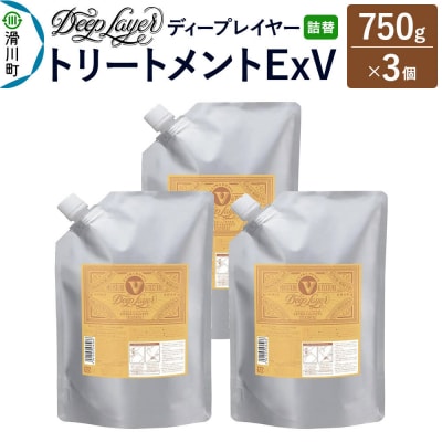 ディープレイヤー トリートメント ExV 詰替 750g×3個|19_sss-380301