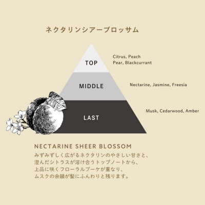 ディープレイヤー トリートメント ExV 詰替 750g×3個|19_sss-380301