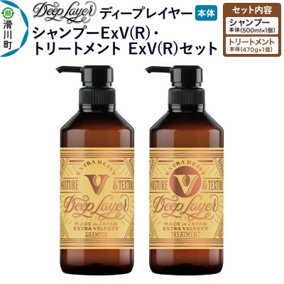 ディープレイヤー ExV シャンプー500mL トリートメント470g|19_sss-460101