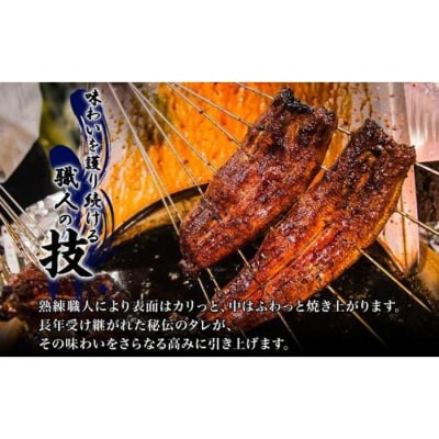 名古屋 うなぎのしら河 国産 鰻　ひつまぶし倶楽部1人前 蒲焼き 120g