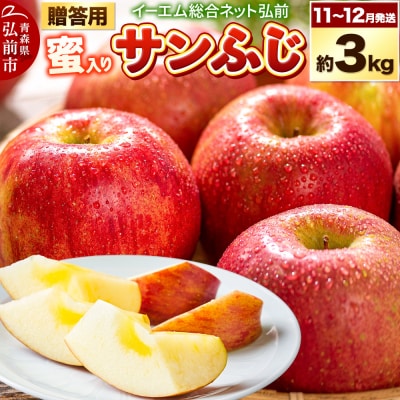 【25年11月～発送】りんご  贈答用 サンふじ 約3kg【蜜入り】|24_ems-010301a