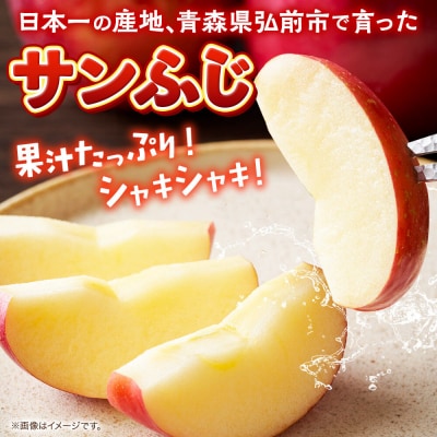 りんご【27年1月発送】サンふじ【贈答用】約3kg|24_ems-010301b