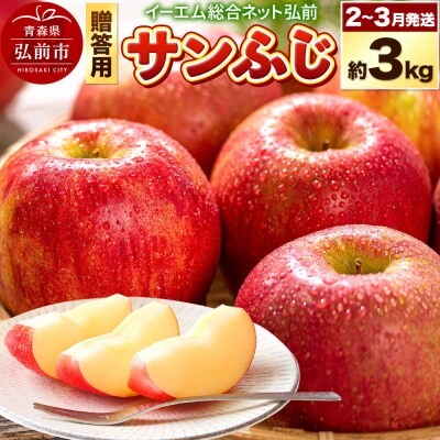 りんご【27年2月～発送】サンふじ【贈答用】約3kg|24_ems-010301c