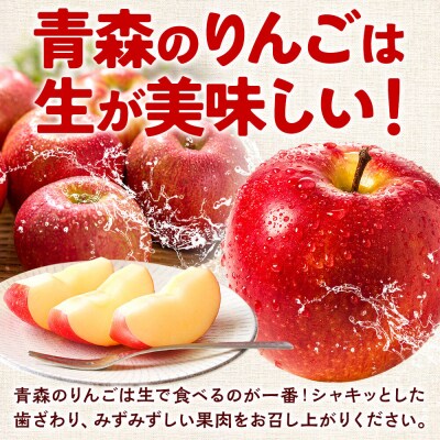 りんご【27年2月～発送】サンふじ【贈答用】約3kg|24_ems-010301c
