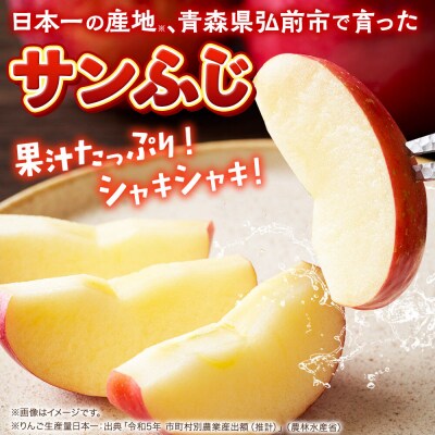 りんご【27年2月～発送】サンふじ【贈答用】約3kg|24_ems-010301c