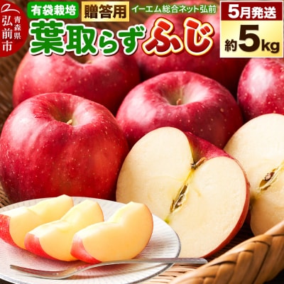 EMりんご  贈答用 葉取らず ふじ 約5kg(有袋栽培・CA貯蔵)|24_ems-020501b