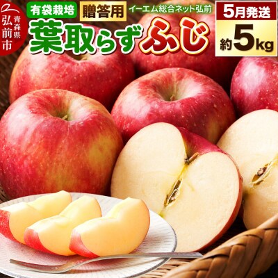 りんご 葉取らず ふじ【贈答用】約5kg【有袋栽培・CA貯蔵】|24_ems-020501b
