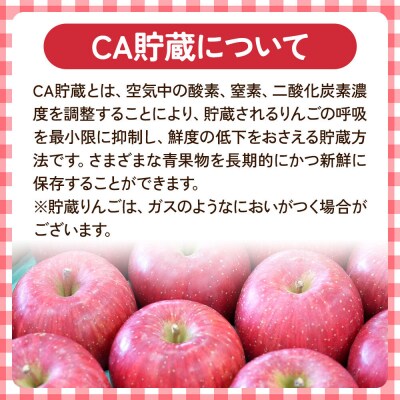 りんご 葉取らず ふじ【贈答用】約5kg【有袋栽培・CA貯蔵】|24_ems-020501b