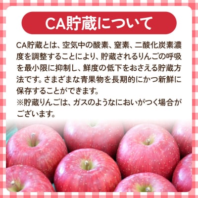 りんご 葉取らず ふじ【贈答用】約5kg【有袋栽培・CA貯蔵】|24_ems-020501b