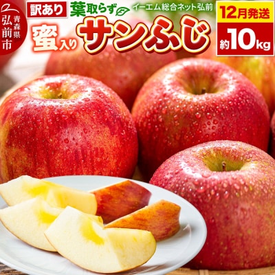 りんご【26年12月発送】葉取らずサンふじ【訳あり】約10kg　蜜入り|24_ems-031001b