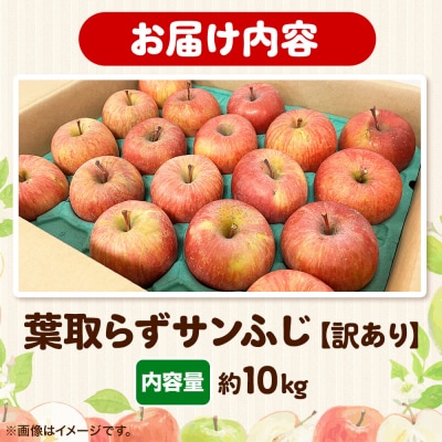 りんご【27年1月発送】葉取らず サンふじ【訳あり】約10kg|24_ems-031001c