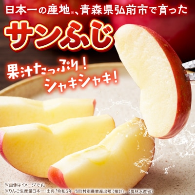 【26年2月発送】りんご【訳あり】葉取らずサンふじ 約10kg|24_ems-031001d