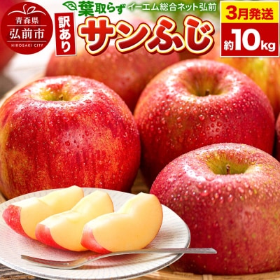 りんご【27年3月クール便発送】葉取らず サンふじ【訳あり】約10kg|24_ems-031001e